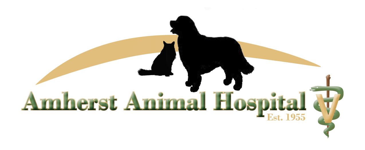 Amherst Animal Hospital